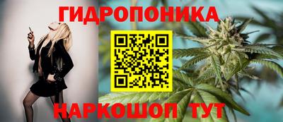 дурь Ирбит