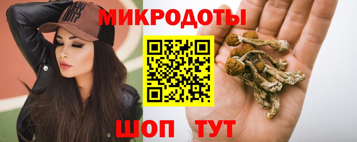 Псилоцибиновые грибы мухоморы Людиново
